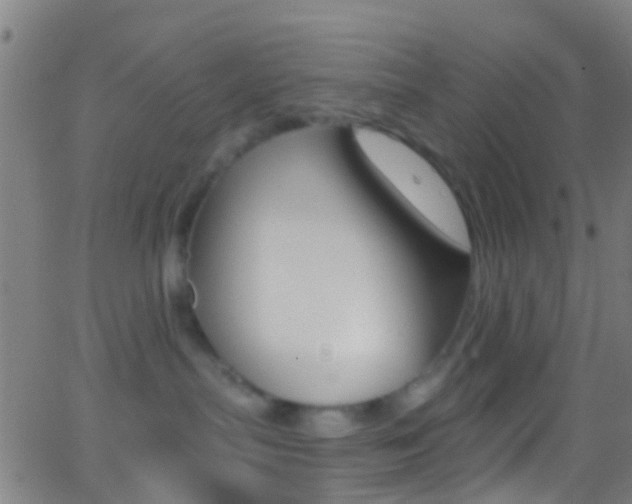 X0000062840287200601130948