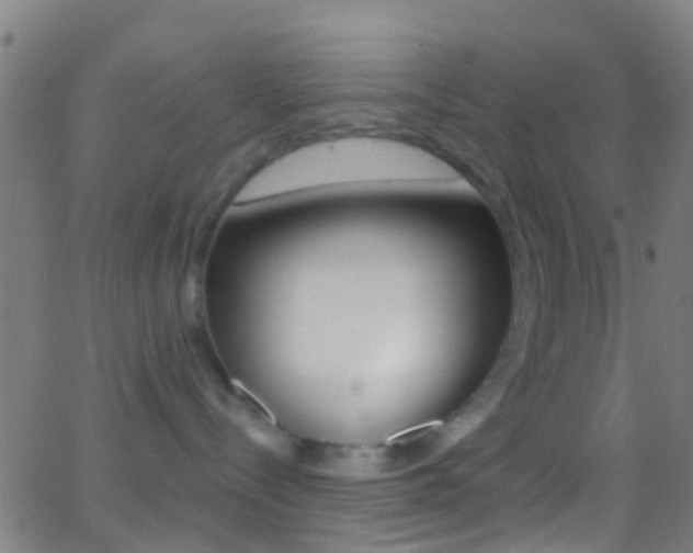 X0000062840288200601130948