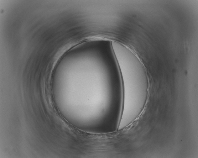 X0000062840289200601130947