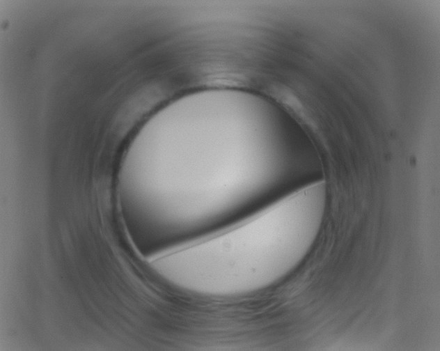 X0000062840299200601130947