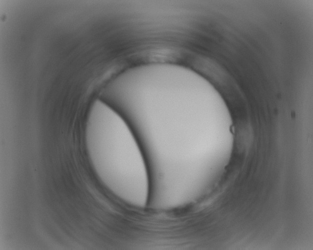 X0000062840310200601130947