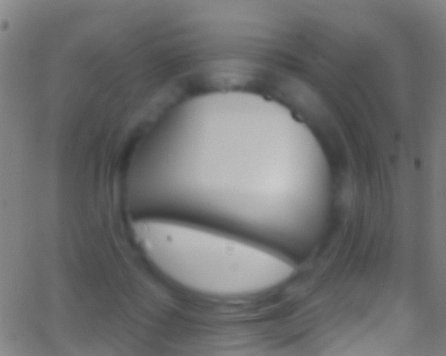 X0000062840315200601130947
