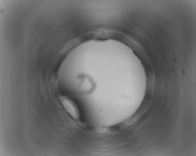 X0000062840333200601130947