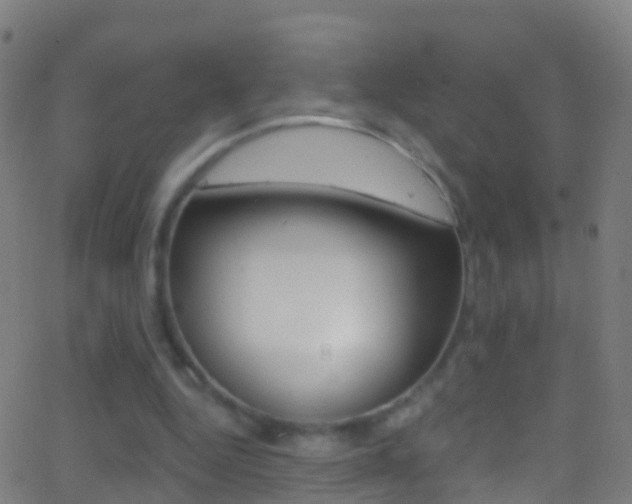 X0000062840344200601130946