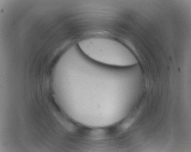 X0000062840357200601130946