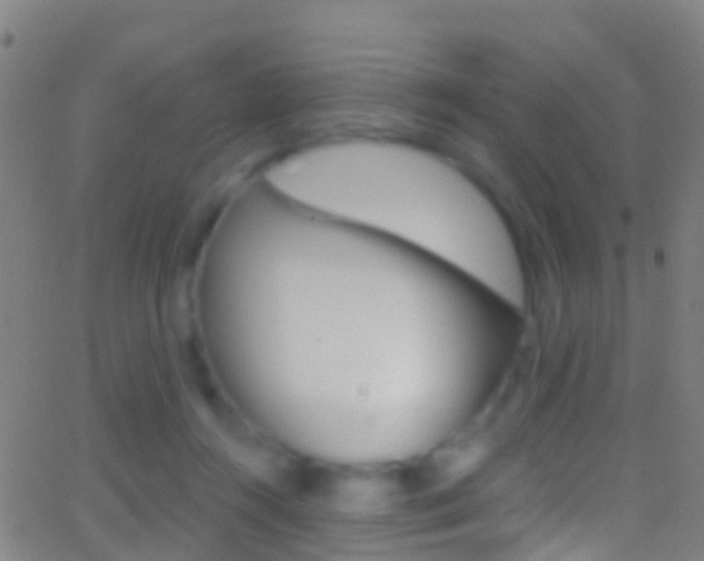 X0000062840360200601130946