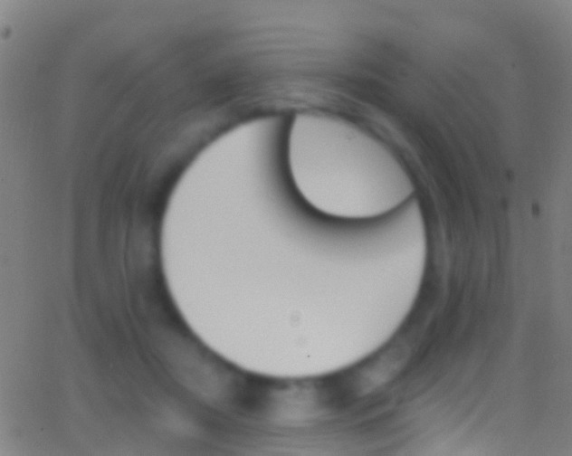 X0000062840362200601130946