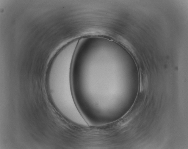 X0000062840387200601130946