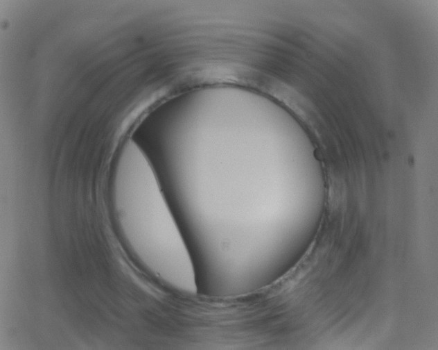 X0000062840390200601130946