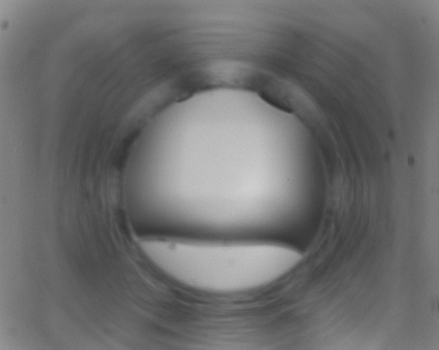 X0000062840413200601130945