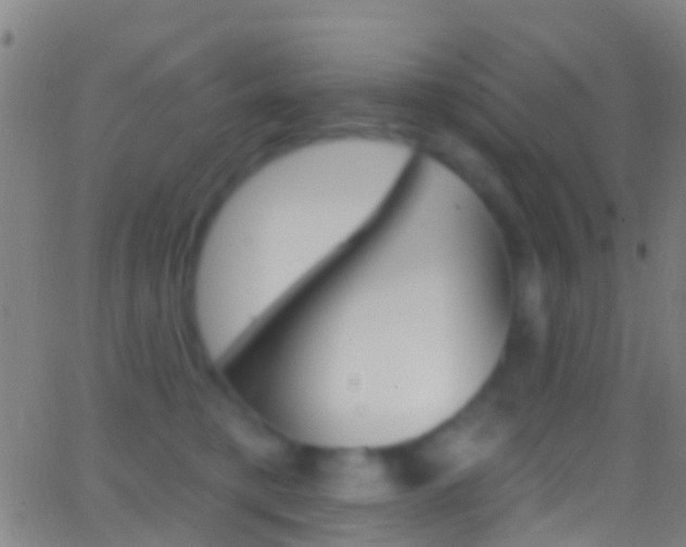 X0000062840421200601130945