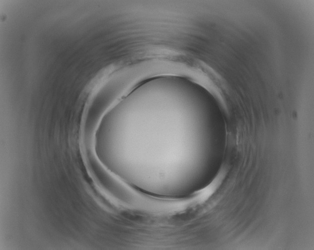 X0000062840436200601130944