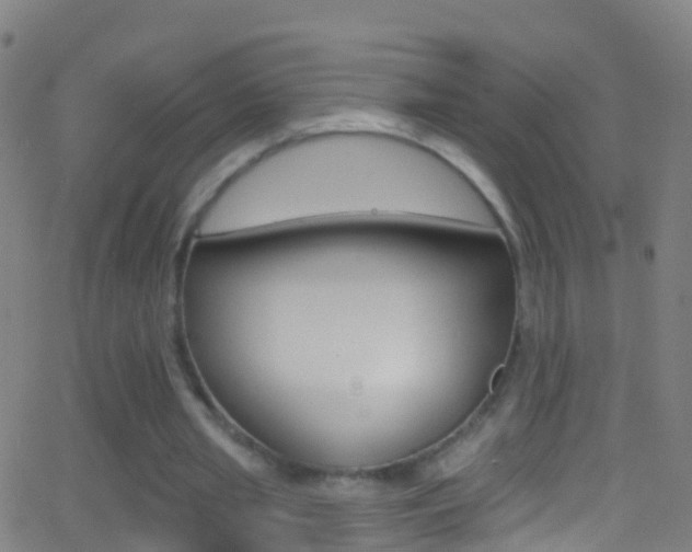 X0000062840437200601130944