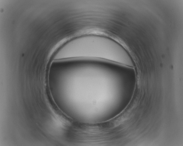 X0000062840438200601130944