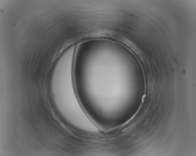 X0000062840485200601130944