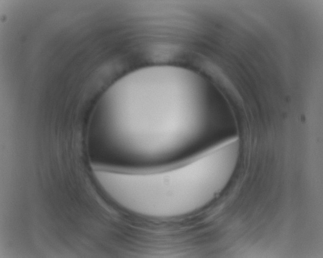 X0000062840497200601130944