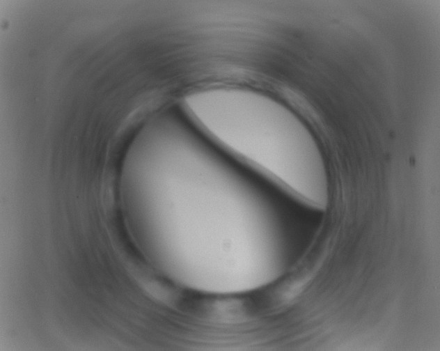 X0000062840501200601130944