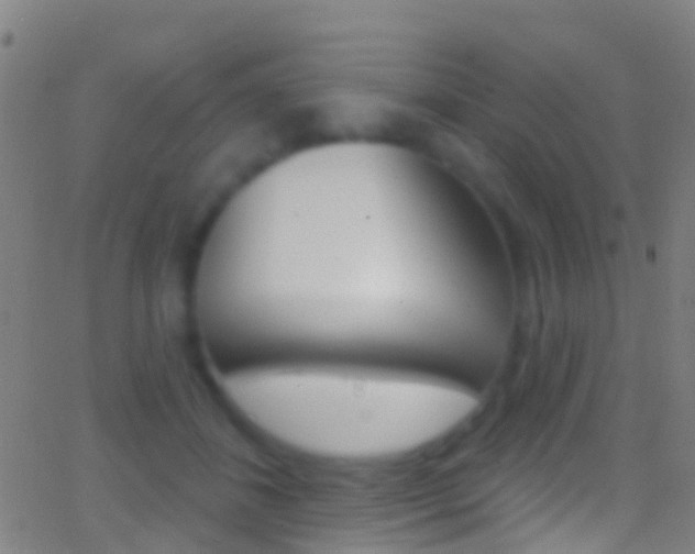 X0000062840508200601130944