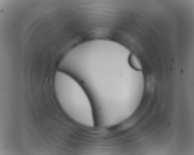 X0000062840514200601130944