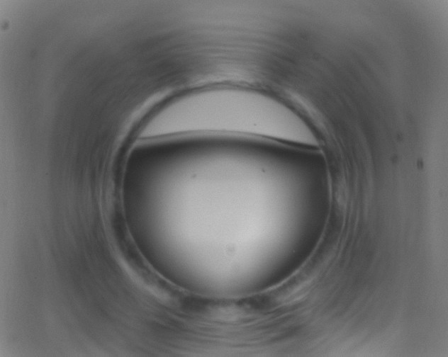 X0000062840540200601130943