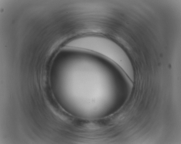 X0000062840544200601130943