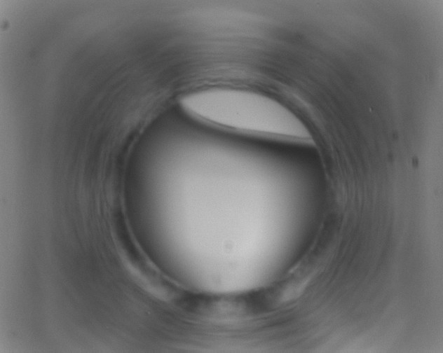 X0000062840546200601130943