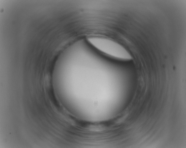 X0000062840556200601130943