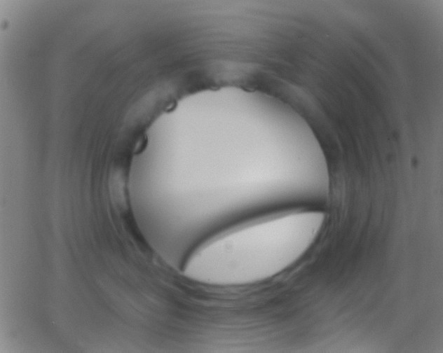 X0000062840575200601130943