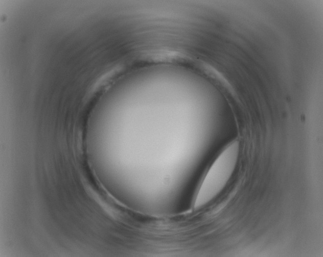 X0000062840589200601130942