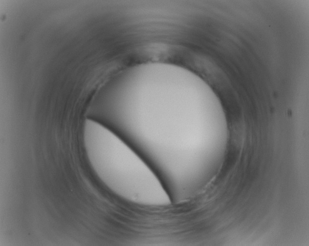 X0000062840594200601130942