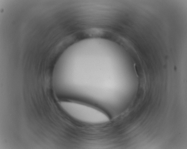 X0000062840604200601130942