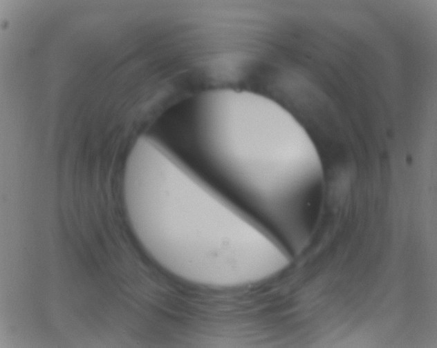 X0000062840608200601130942