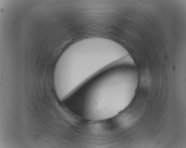 X0000062840620200601130942
