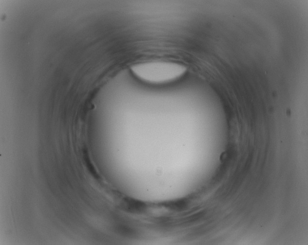 X0000062840650200601130941