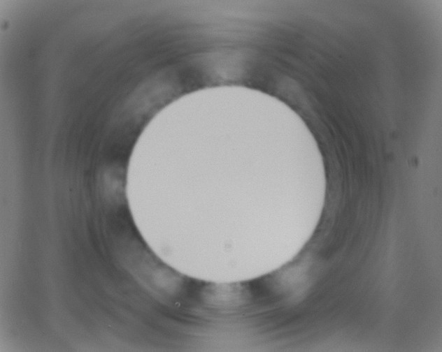 X0000062840672200601130942