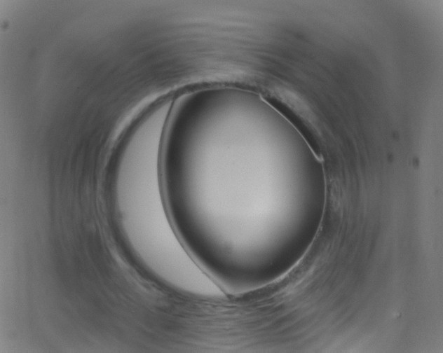 X0000062840676200601130941