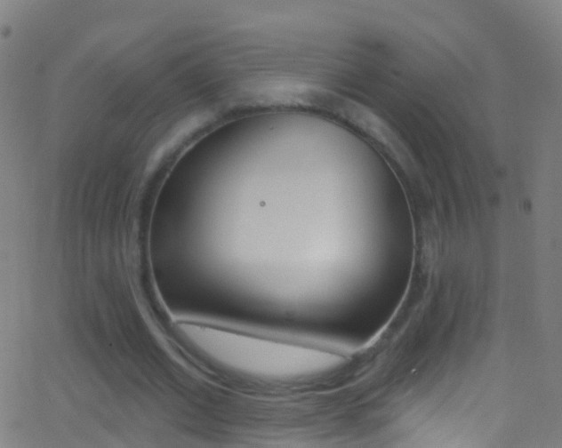X0000062840677200601130941