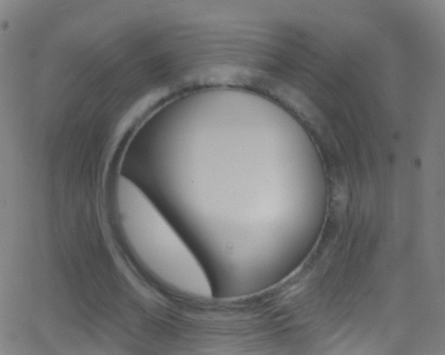 X0000062840678200601130941