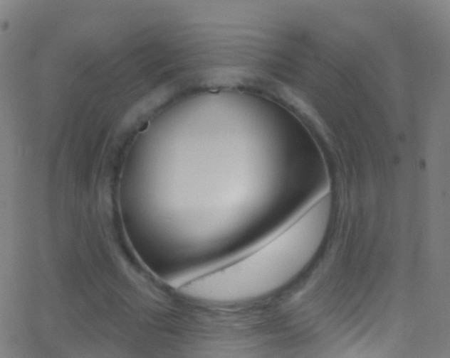 X0000062840681200601130941