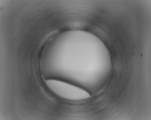 X0000062840690200601130941