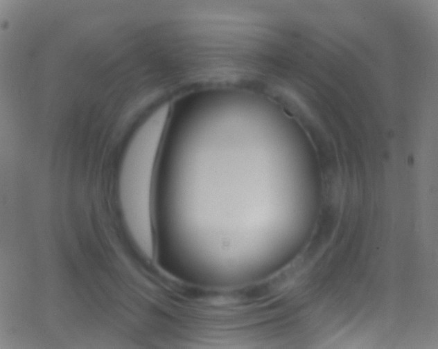 X0000062840692200601130941