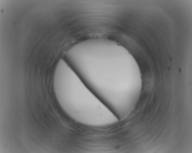 X0000062840699200601130940
