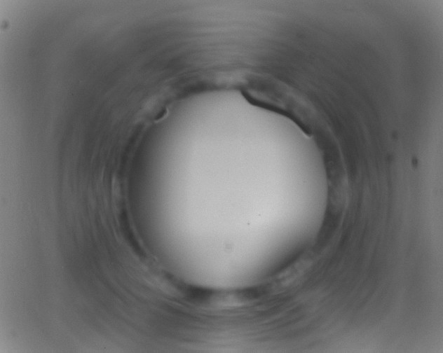 X0000062840704200601130940