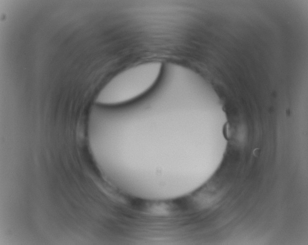 X0000062840710200601130940