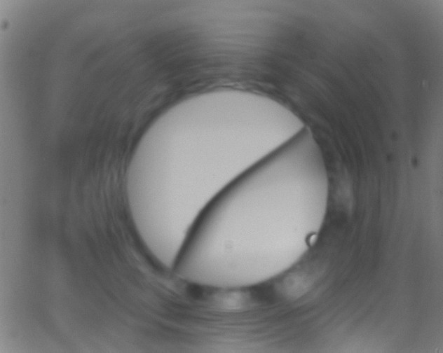 X0000062840711200601130940