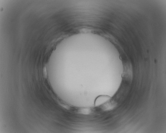 X0000062840717200601130940