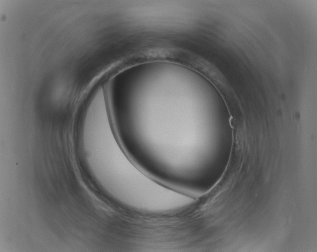 X0000062840722200601130939
