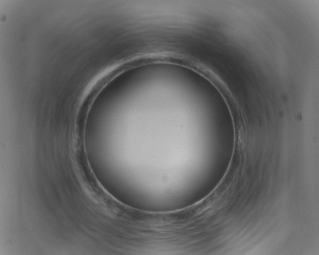 X0000062840724200601130939