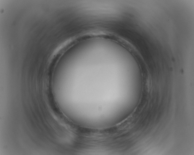 X0000062840732200601130940