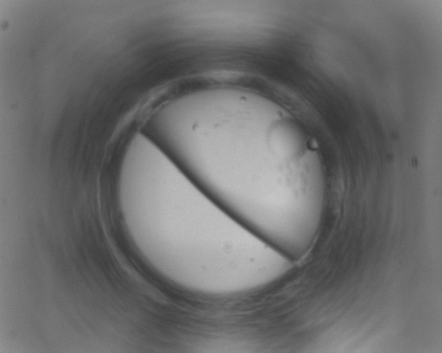 X0000062840734200601130940